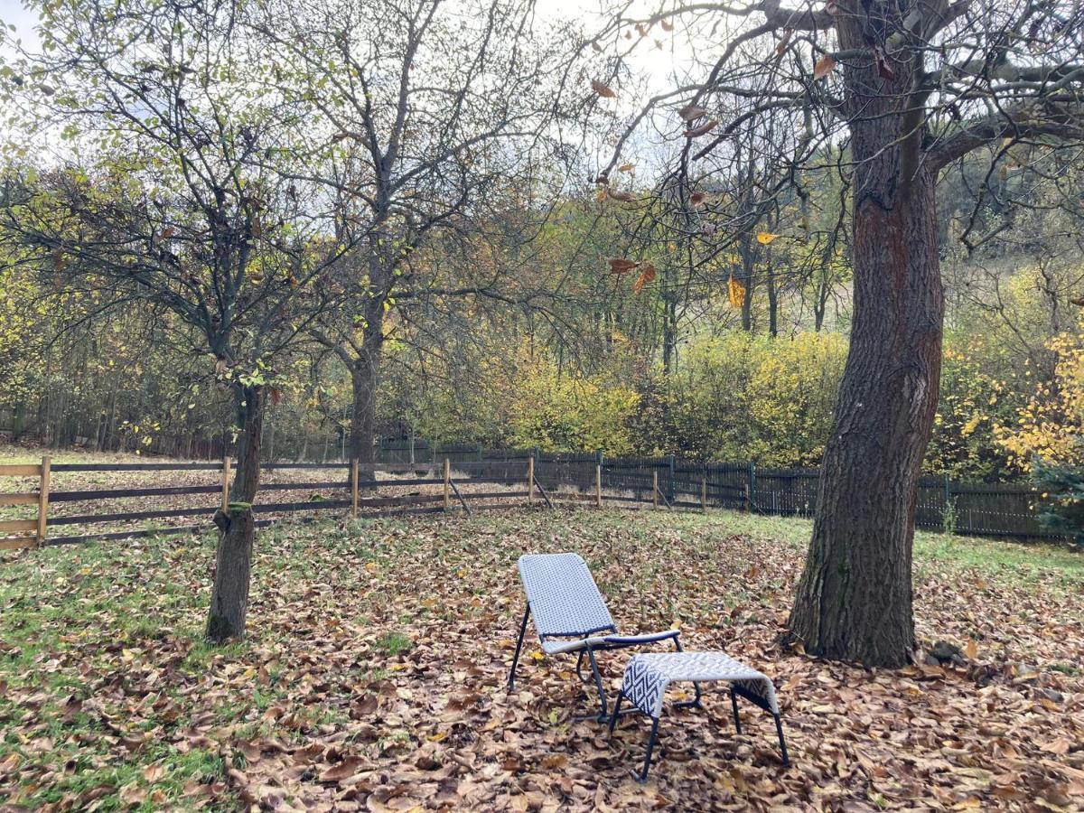 Na Bukovku Apartment Techlovice Bagian luar foto